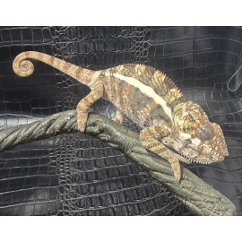 Blue Bar Ambilobe Panther Chameleon