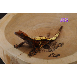 J35 Sable