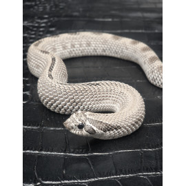 Axanthic Conda